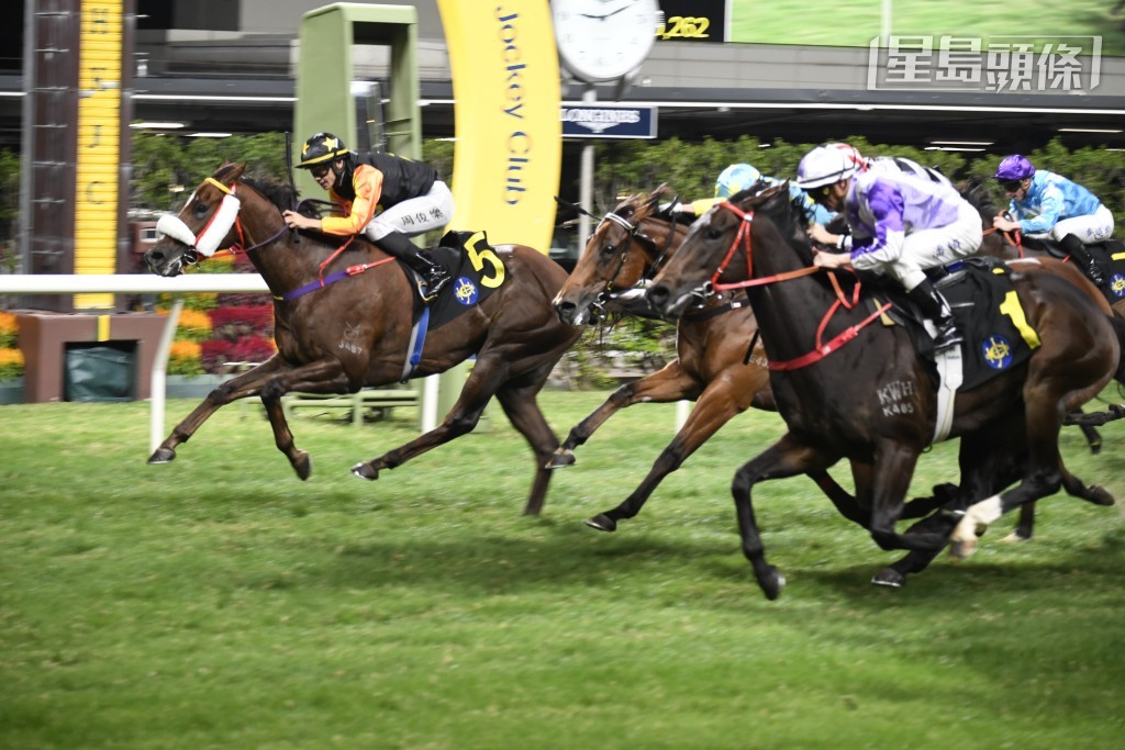 「喵喵怪」(内) 曾以上述条件得亚军，今战成绩如何？