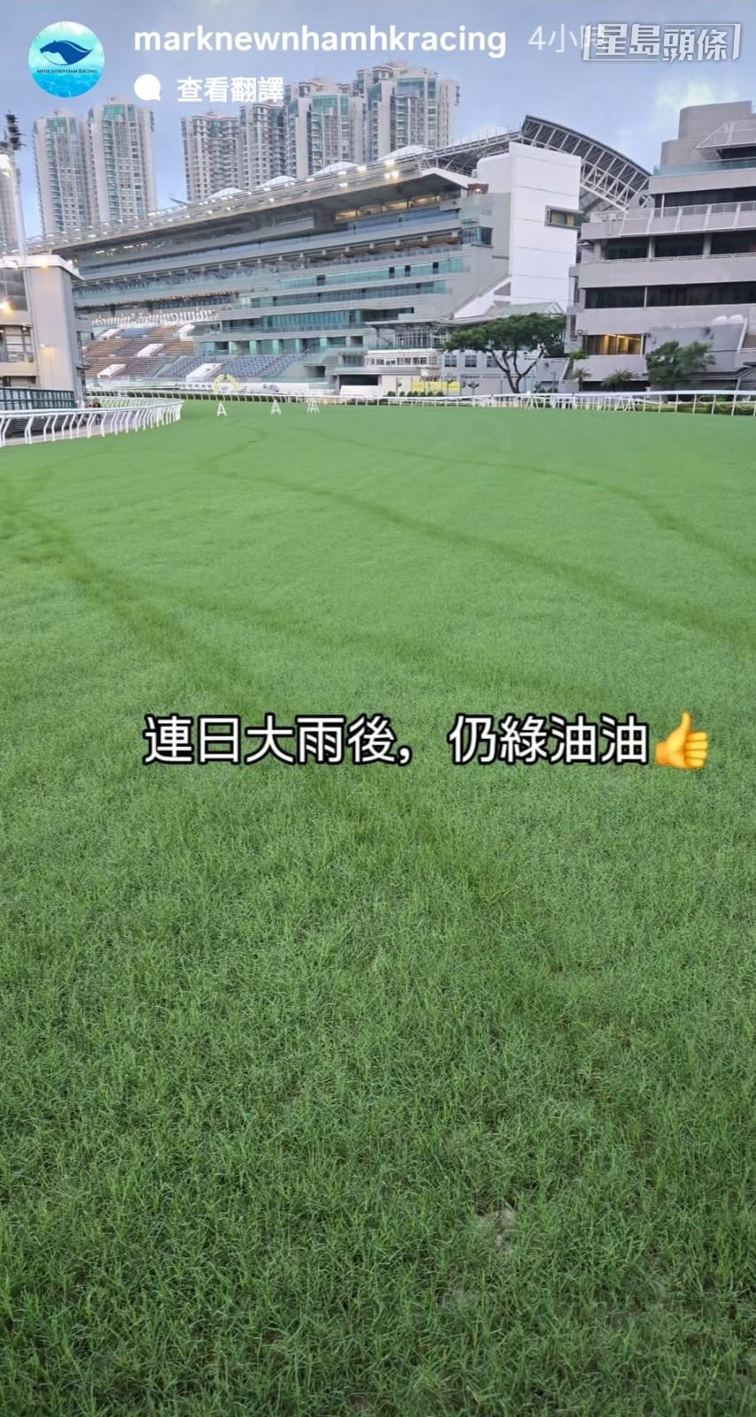 廖康銘大讚香港馬會保養草地工夫好，雖然經過連日暴雨，沙田草地仍然綠油油。 相片來源：廖康銘ig 