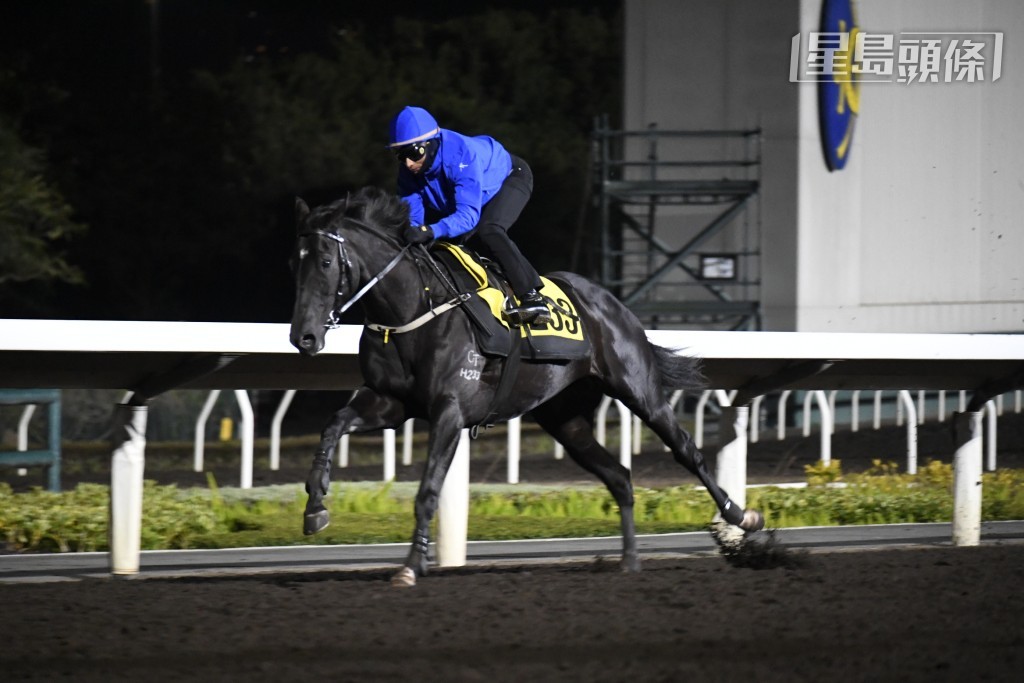 田泰安今朝一到場立即替「北海盜」出試，跟手並上烽火台二樓搵賀賢傾談，追捧倍添信心。