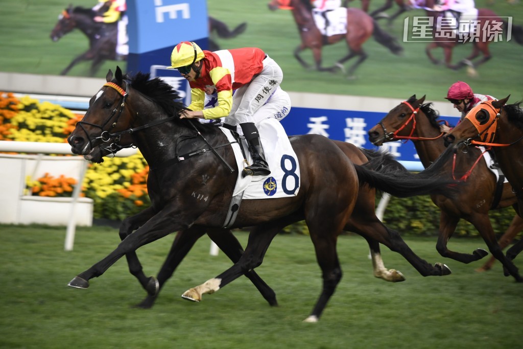 的团体马「会当凌」 及「一生好彩」(图) 今季合共取得九场头马，其中有八场亦由周俊乐建功。