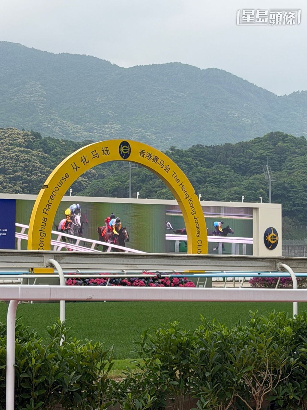 练马师到看台观看马匹入闸及试闸过程，骑师试后向练马师汇报，马匹操练后回马格饮水，返回马房休息等。相片及短片截图：叶楚航ig