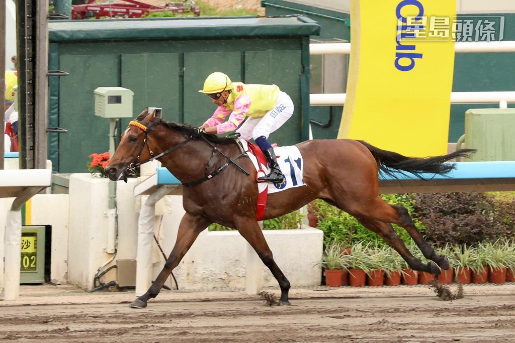 報爭下同三谷草賽事第二班一哩的「昇瀧駒」，今季兩戰均配田泰安，上場更在安仔胯下贏馬，由於下周三騎者停賽，帥權由希威森接手。