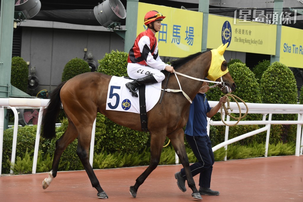 周日沙田赛事，「万事胜利」出战第五场四班千六米。