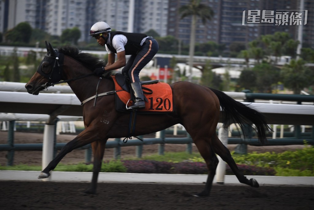 周三出戰第六場的「龍威心得」(圖) 今早操練，希斯也有吼實，動態積極。