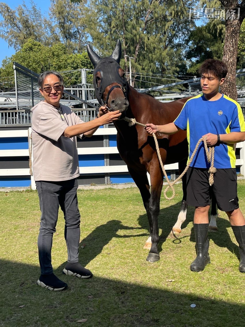 马主文寿强目前养有吕厩的「双星报喜」和生力军L421 (图)。 马主文寿强目前养有吕厩的「双星报喜」和生力军L421 (图)。