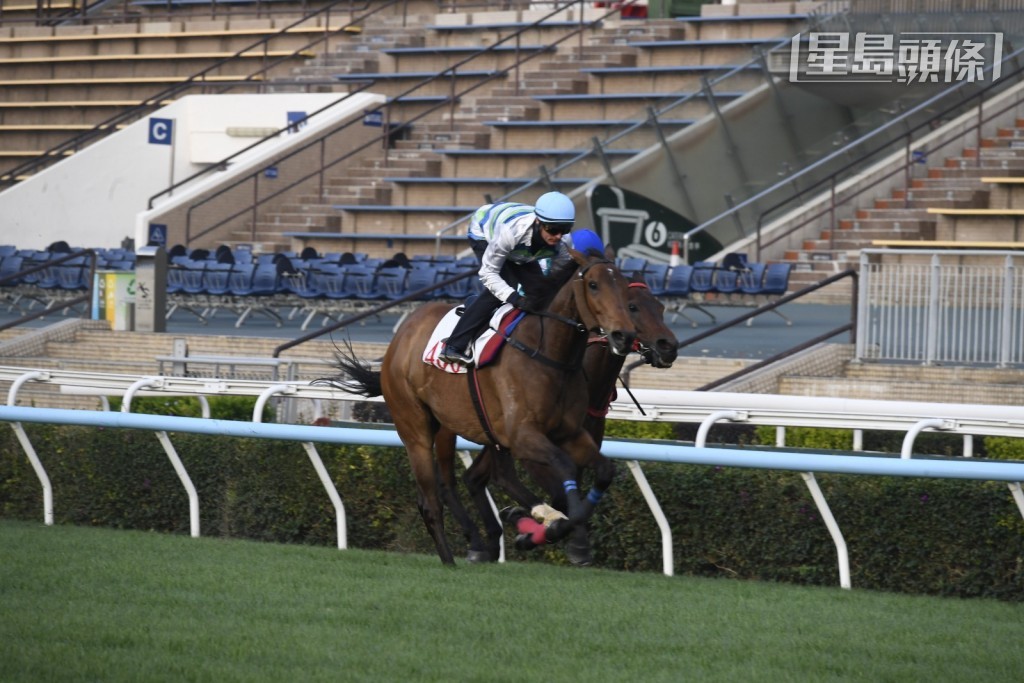 「浪漫勇士」(外) 和「遨游气泡」(近镜) 将会出战三冠长途系列次关香港金杯，届时会一番龙争虎斗，令人期待。