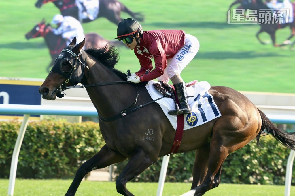  「心雄雄」升班負磅驟減十一磅，屆時有望再發揮其實力，全力爭取三連捷。