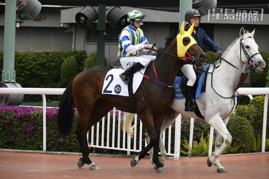 「錶之浩瀚」（圖）則出戰第五場，分頭出擊，有力為楊氏家族增添頭馬進帳。