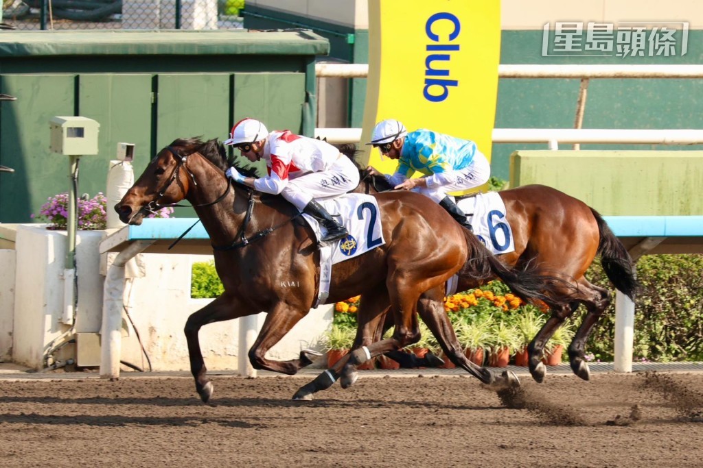 今日沙田第八場三班泥地千二米,奧爾民策騎賀賢馬房的「時時歡欣」大熱取勝。 今日沙田第八場三班泥地千二米,奧爾民策騎賀賢馬房的「時時歡欣」大熱取勝。