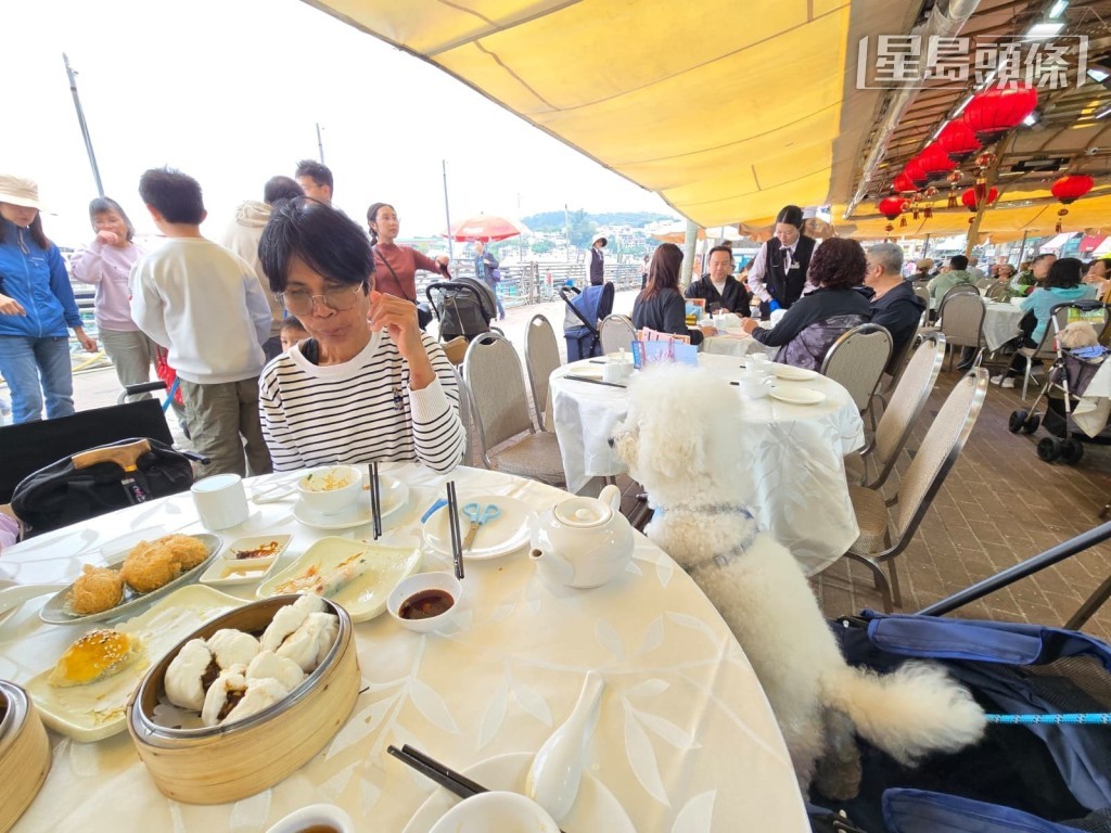食環署預計於6月中旬批出首輪申請