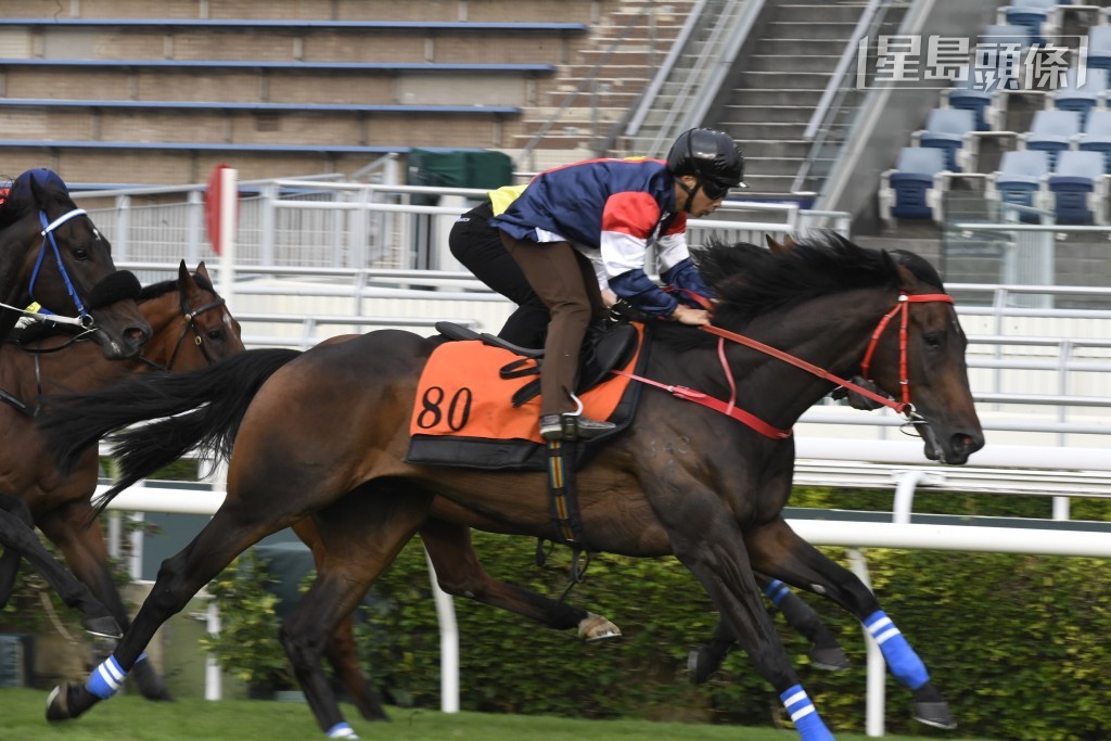 出爭二班二千米的「數字天文」上場在港初出配梁家俊即跑第三名，表現不錯，今戰人馬再戰，全力補中。