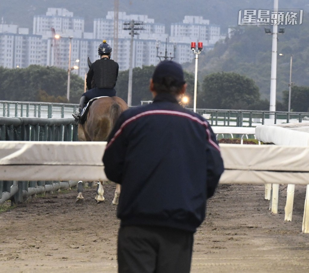 马场MC( Michael Chang) 郑俊伟今早如常天未光已紧守岗位，穿梭于奥运马房、机坪及烽火台之间勤力督操，逐一观看旗下马的操练。