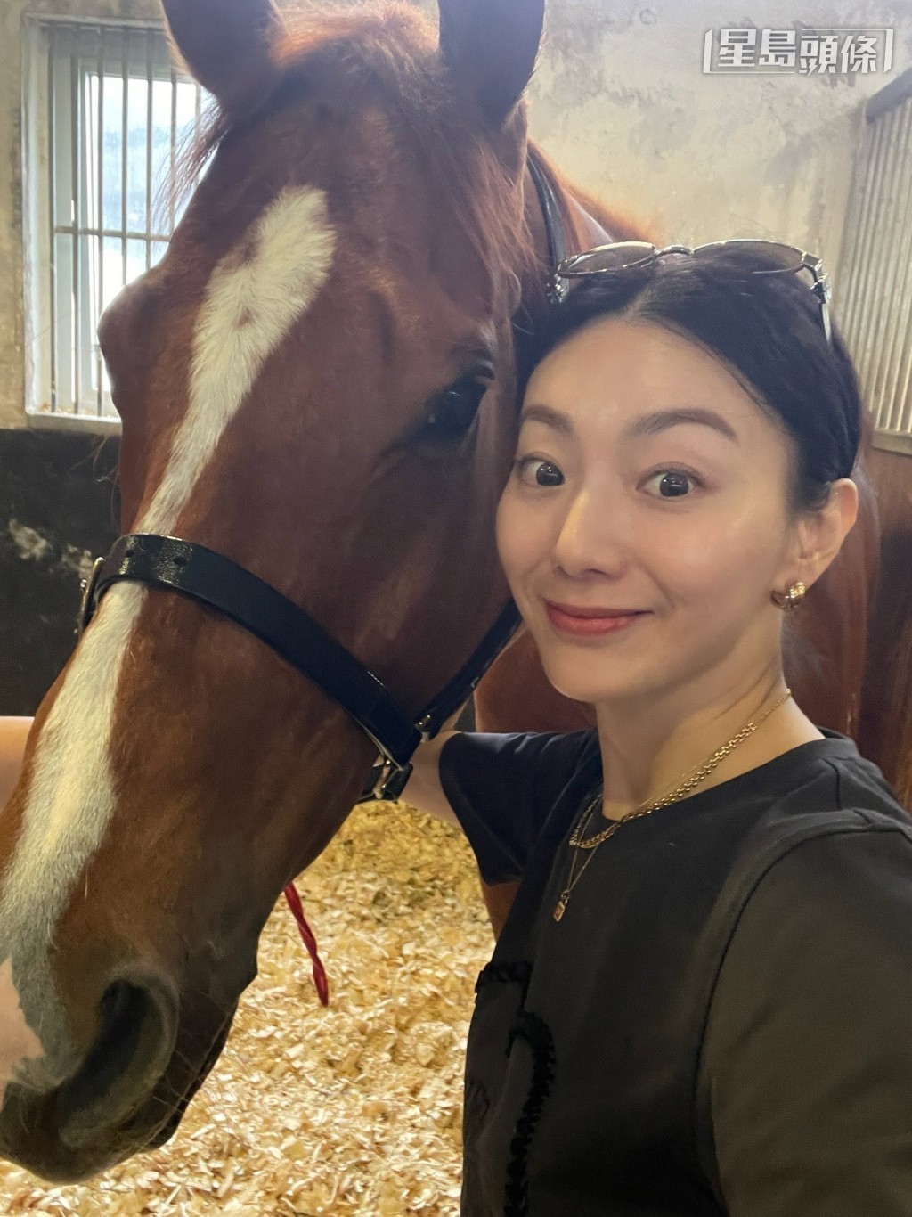 「天下寵兒」馬主周嘉儀在其社交平台分享她最近探望「天下寵兒」相片,寫上「今季最後一擊」,為馬兒今季最後一戰打氣。 「天下寵兒」馬主周嘉儀在其社交平台分享她最近探望「天下寵兒」相片,寫上「今季最後一擊」,為馬兒今季最後一戰打氣。