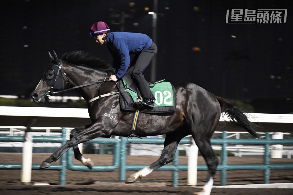 梁家俊為了「中華英雄」專誠一早出現，十分重視這新勝馬。
