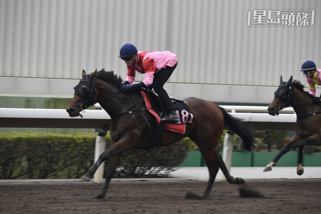 「祥勝力駒」(圖) 今朝由得力助手出跳，韋達坐高爾夫球車跟實此馬返去奧運馬房，肉緊程度攞滿分。(資料圖片)