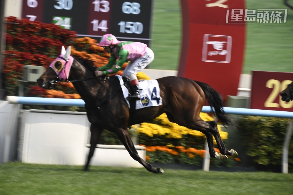 所謂善有善報，這班善心滿滿的馬主近期養馬運不錯，近期分別憑「暴風一族」和「友瑩仁」(圖) 贏馬。