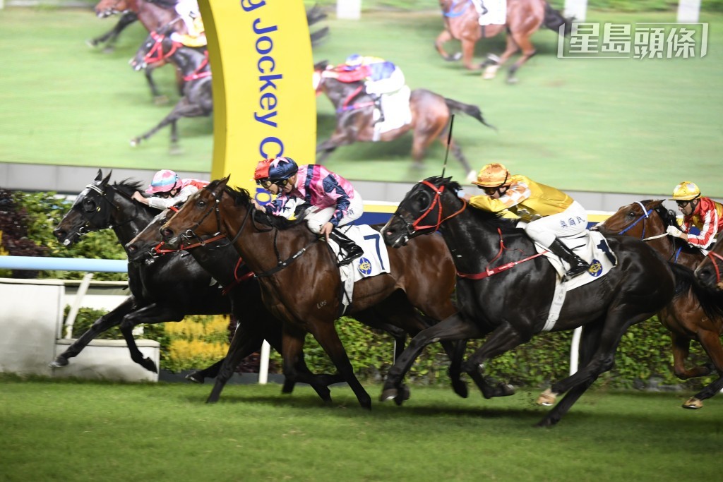 「有備而戰」剛季六月配潘頓打開在港勝門，惜賽後被發現第二次流鼻血，因而須退役；王延慶和家人向來錫馬，於是把牠運往紐西蘭，與其名下各匹退役馬一樣，在當地頤養天年。