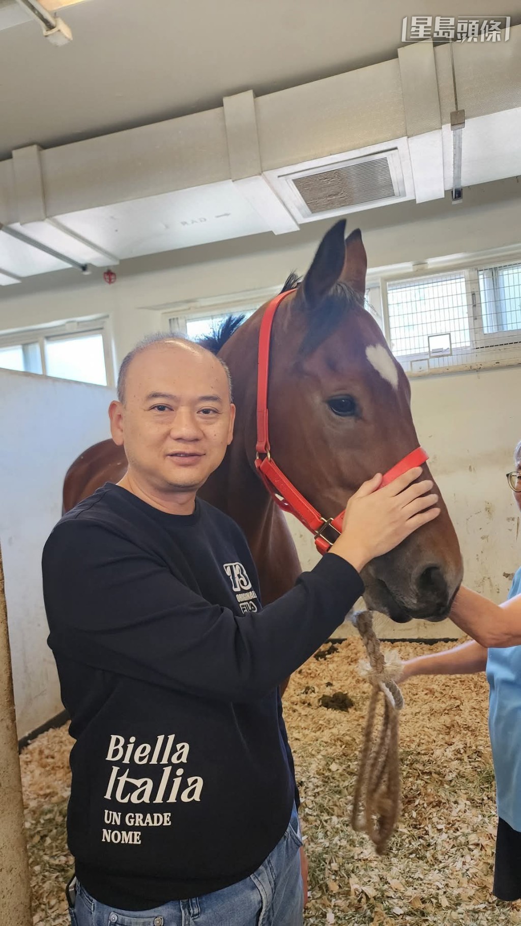 「辣得驾势」(图) 将往纽西兰颐养天年,并会合其他一众「辣」系退役马。 「辣得驾势」(图) 将往纽西兰颐养天年,并会合其他一众「辣」系退役马。