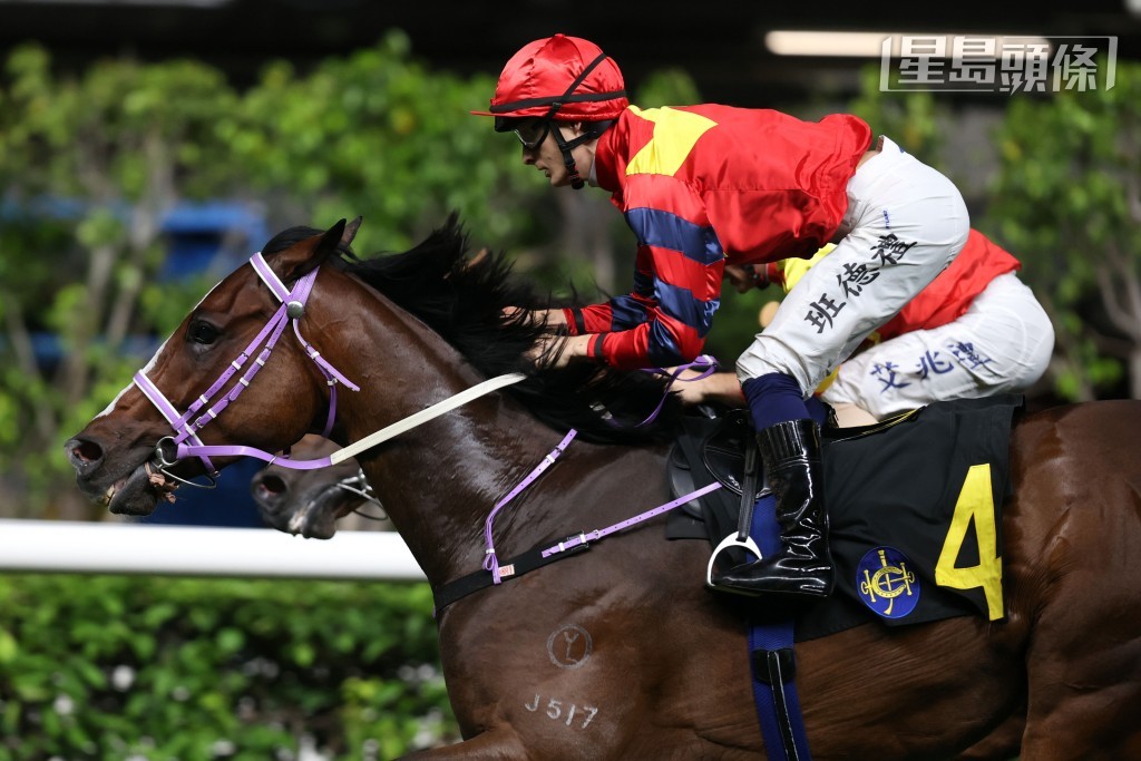 黃士心名下的「康樂高球」今仗是第一次挑戰分級賽,也是首度增程至1800米角逐。此匹五歲馬將在班德禮胯下自第八檔起步。 黃士心名下的「康樂高球」今仗是第一次挑戰分級賽,也是首度增程至1800米角逐。此匹五歲馬將在班德禮胯下自第八檔起步。