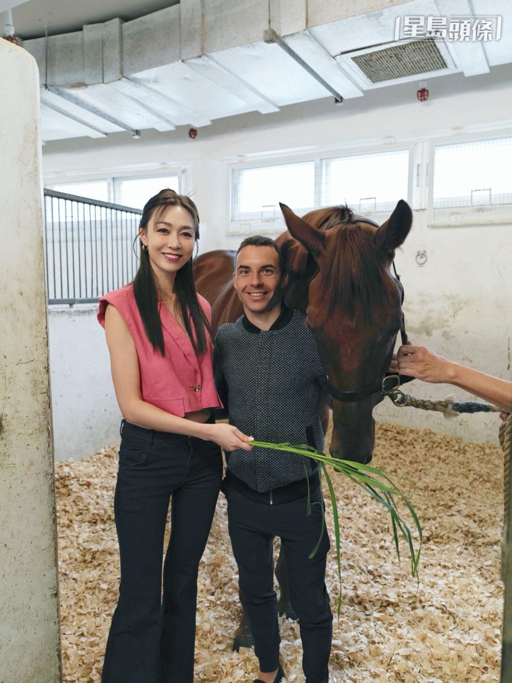 黃嘉雯餵愛駒「飛馬座」吃青草,獎勵馬兒叻仔。相片來源:馬主黃嘉雯提供 黃嘉雯餵愛駒「飛馬座」吃青草,獎勵馬兒叻仔。相片來源:馬主黃嘉雯提供