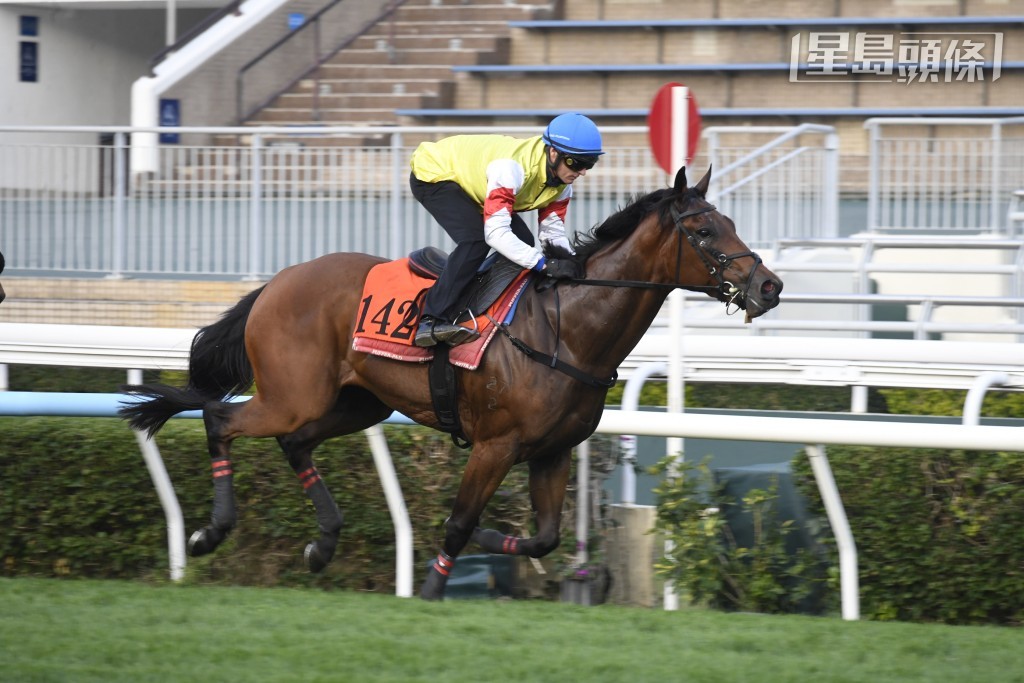 「烈焰光芒」助手踱一圈，豎起雙耳目光銳利，神生步爽充滿朝氣，出腳力度亦足，保持極佳進度。