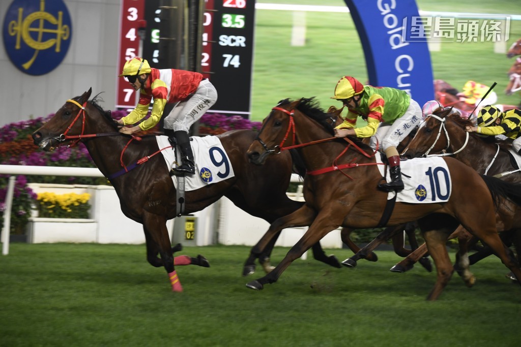 陈桥森的好友钟一帆及潘子聪医生等人合伙养的团体马「会当凌」(图) 及「一生好彩」今季合共取得九场头马，其中有八场亦由周俊乐建功。