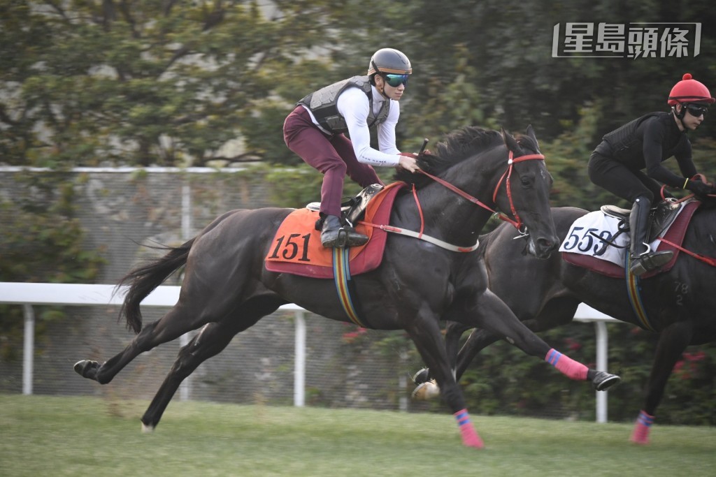 周俊乐策骑「凌登」(L151) 试千八草地。