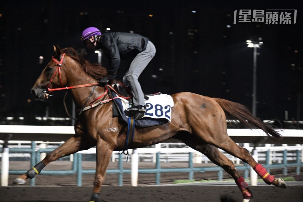 叶楚航今朝走落隧道接 「陆小凤 (图) ,听取鞍上人潘顿汇报操后感。 叶楚航今朝走落隧道接 「陆小凤 (图) ,听取鞍上人潘顿汇报操后感。