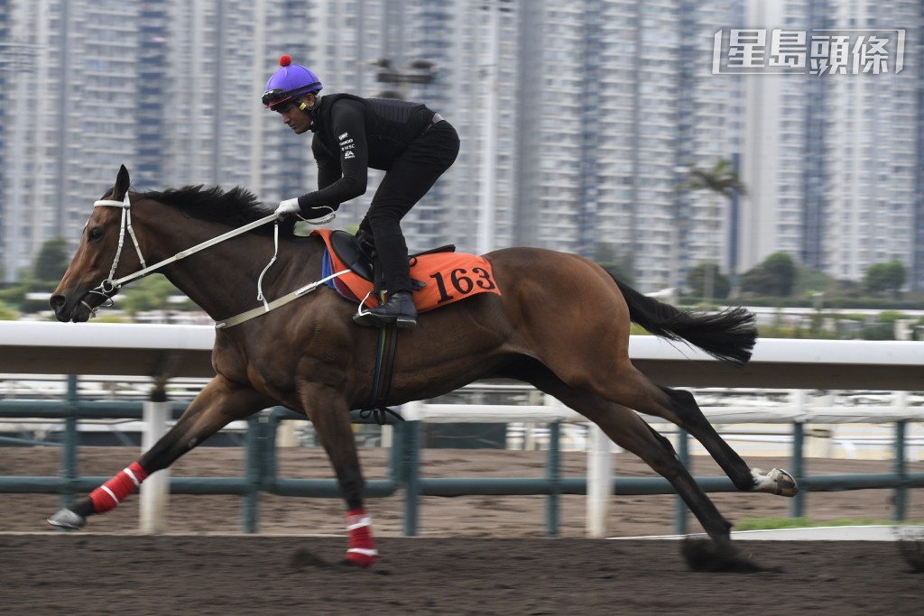 「万事胜利」戴头罩由助手跳两段，出脚仍有啲高，但力度愈见充沛，有进展。