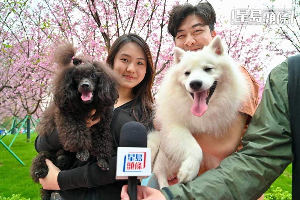 崔先生和黃小姐就帶着兩隻小狗,白狗smore和黑狗黃允恆一起到場拍拖。 崔先生和黃小姐就帶着兩隻小狗,白狗smore和黑狗黃允恆一起到場拍拖。
