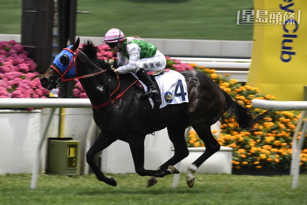 「綫路光驊」今戰成績如何？