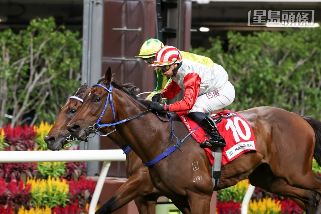「大浪圖田」(圖) 的練馬師丁冠豪表示,雖然此駒已經是匹六歲馬,甚至到了上季尾仍在進步中,真是驚人。 「大浪圖田」(圖) 的練馬師丁冠豪表示,雖然此駒已經是匹六歲馬,甚至到了上季尾仍在進步中,真是驚人。