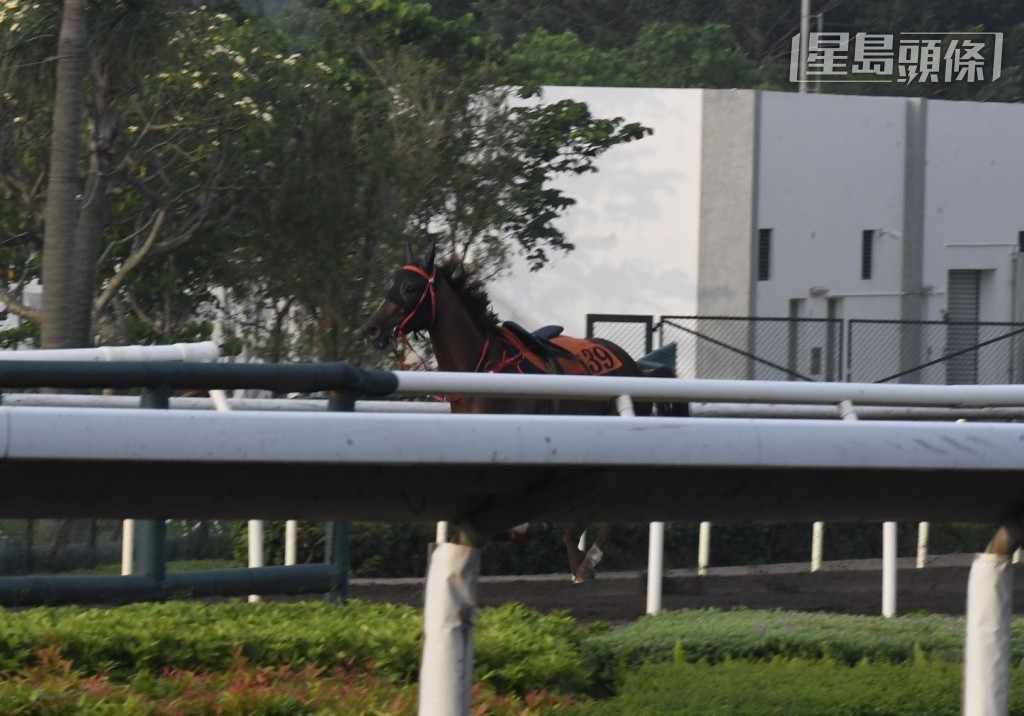 未知是否因为「赢玥」可能太弗，火气太猛，今早走甩呢！