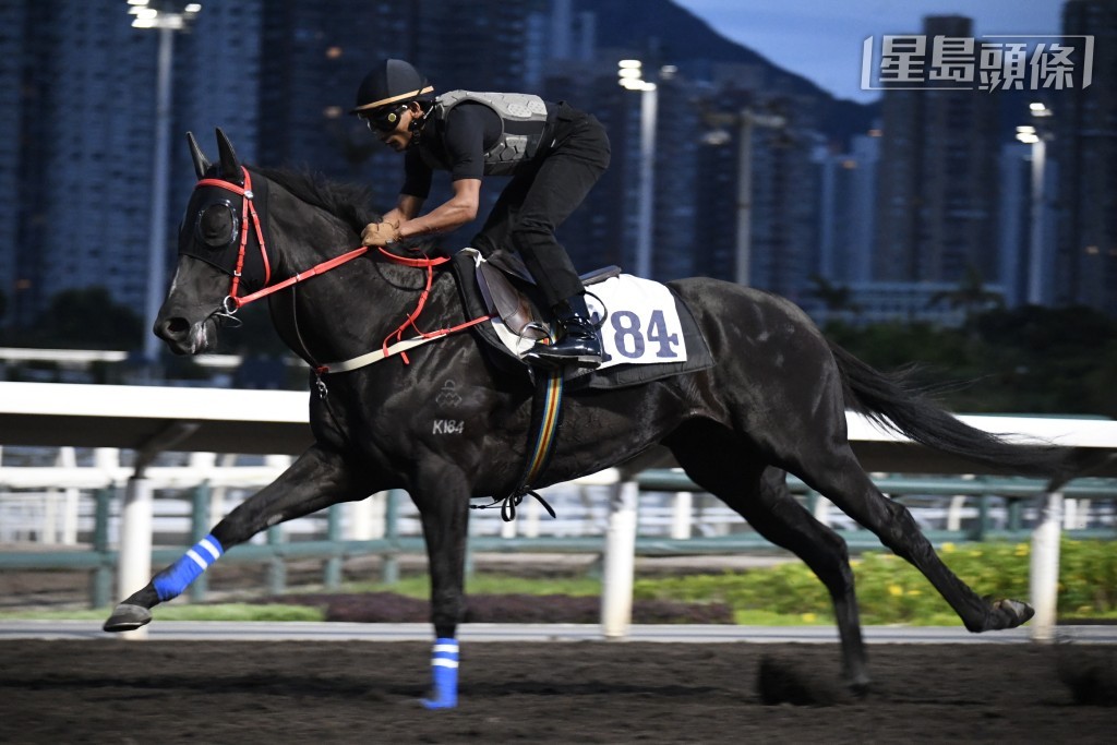 田泰安试「红衣醒目」(图) 最有睇头，操后已同罗富全倾了几句，之后空档骑练又合体再倾过。