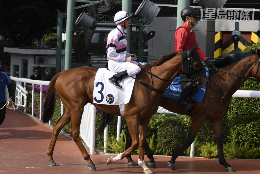 「開心三多」今戰有潘頓助陣，成績如何？