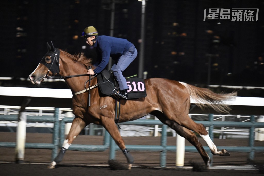 今朝梁家俊為「午夜快車」(圖) 出跳更充滿睇頭，事關不論課前課後，佢同希斯都密密斟咬耳仔，積極程度完全唔似一匹冷馬。(資料圖片)
