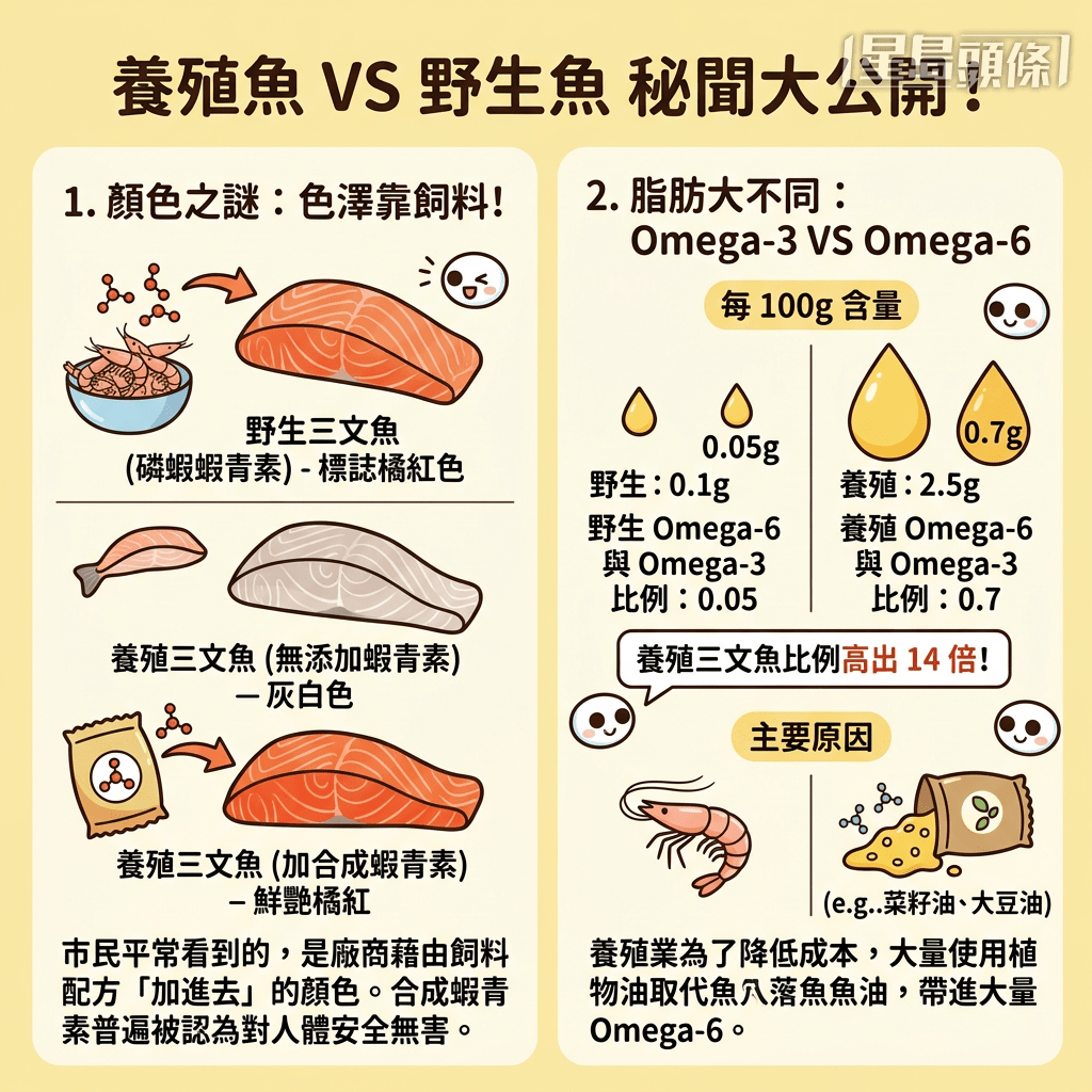 養殖三文魚 VS 野生三文魚 養殖三文魚 VS 野生三文魚