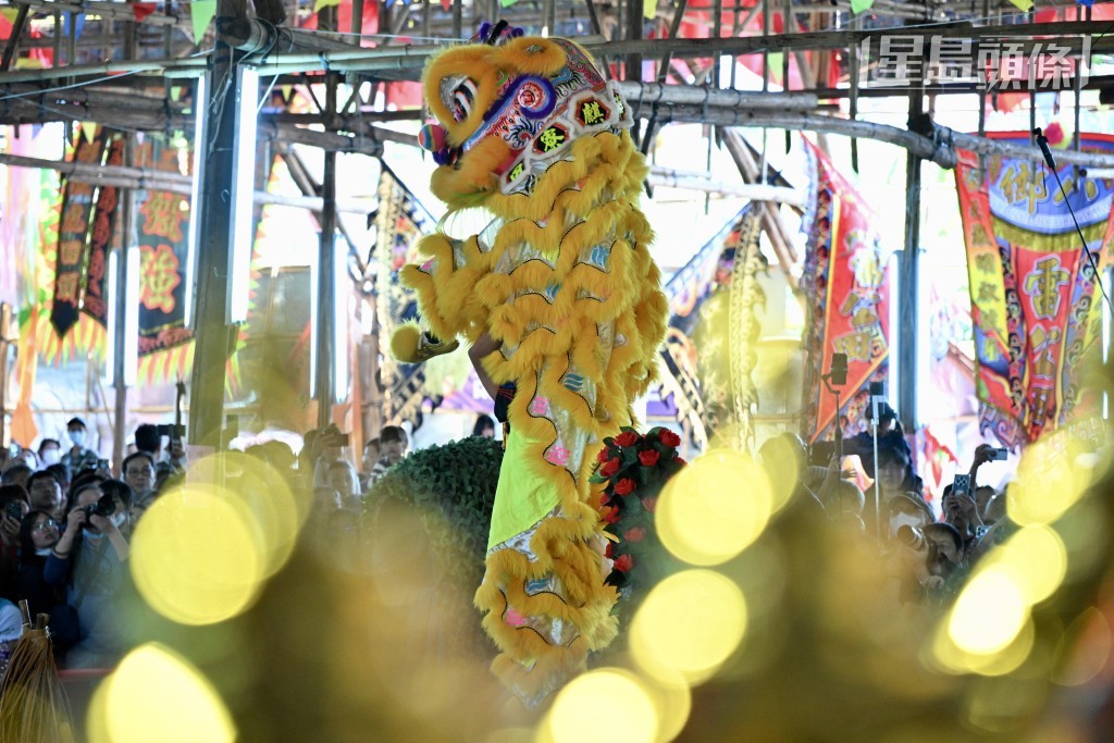 獅王爭霸賽在高樁上激烈進行。