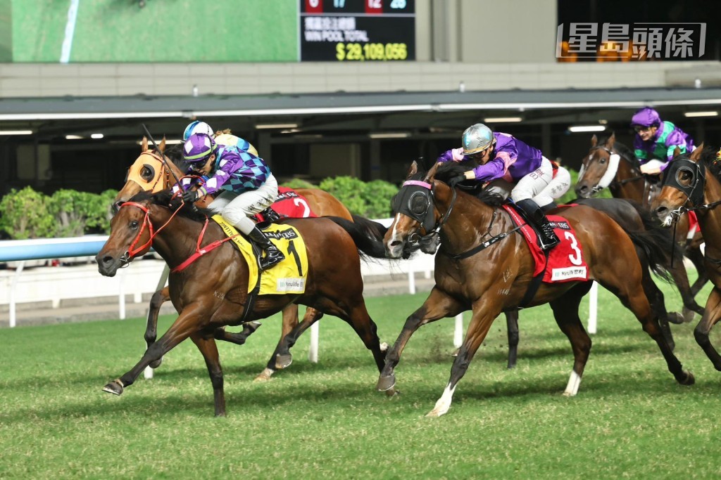  今期廖康銘依重霍宏聲、巴度及希威森出擊，巴度騎「椒椒醒」(3號) 及「智勝攻略」。