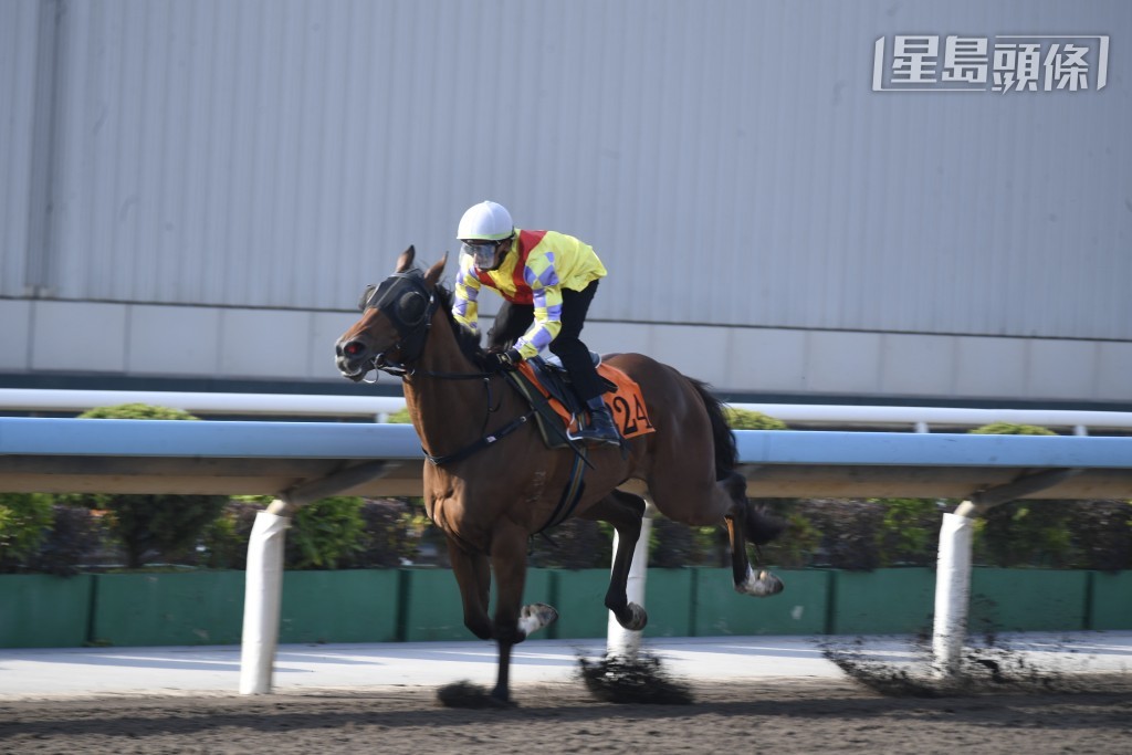 「好吉利高」最近一次試閘勝出，反映近期狀態不錯，今次初次登場出戰第五場，且看能否帶來驚喜的演出。