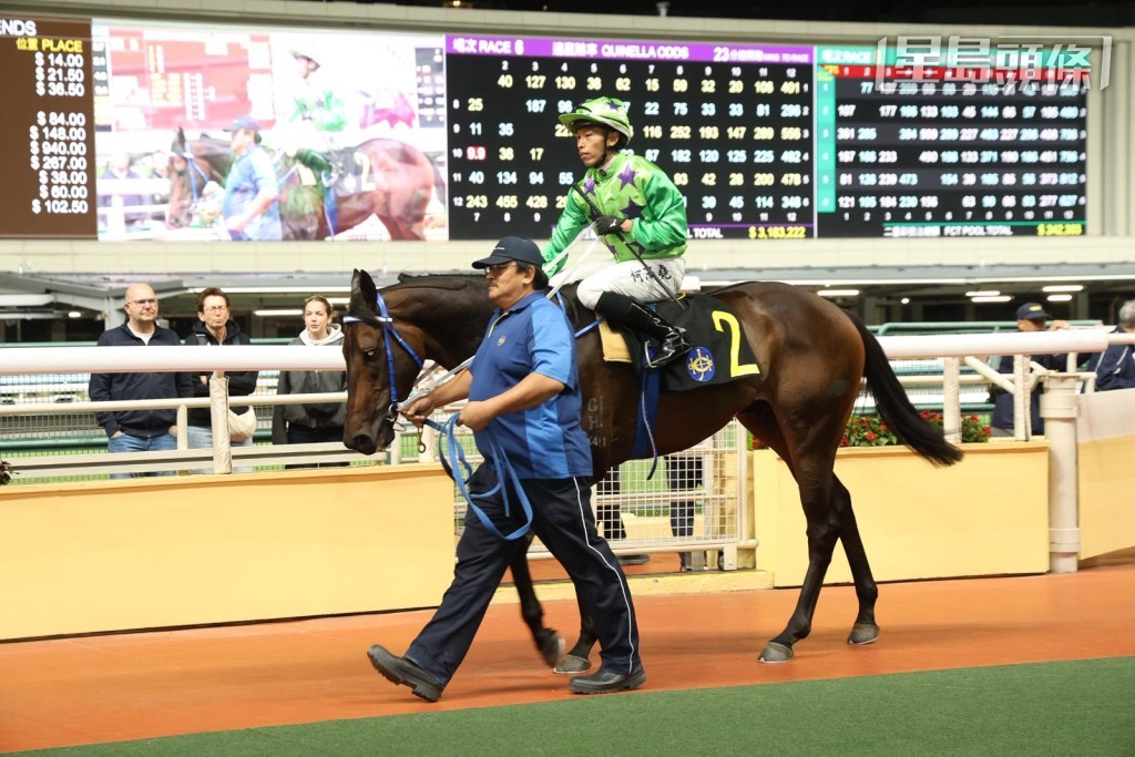 「飞龙在天」季内四战取得两冠一亚一季，表现甚准。