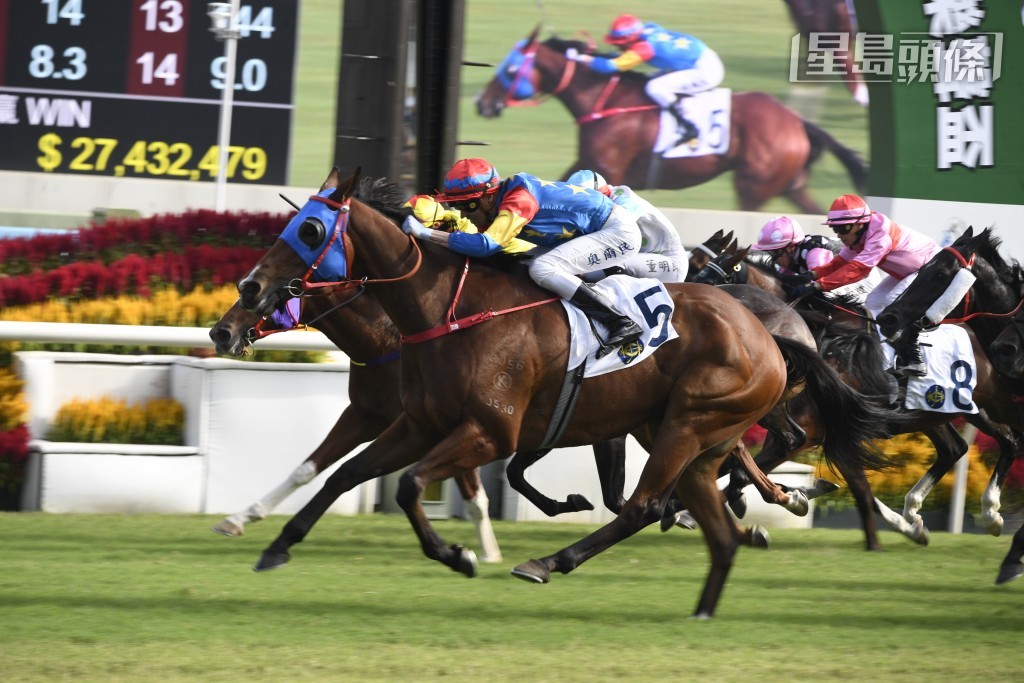 第四場的「朗日自強」今季初在沙田千四米取勝，近三仗均有獎金收，可見馬兒近態不錯。