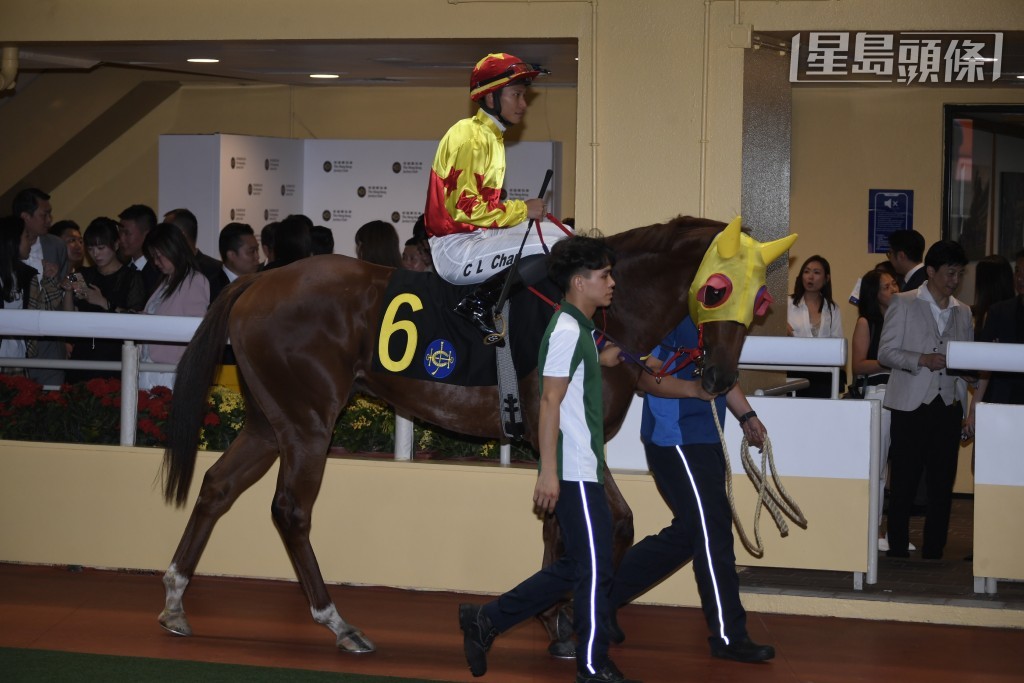 蔡明紹以往曾經夥拍「加州萬里」贏香港盃及遮打盃一級賽，與「加州」系馬很夾，今場或有力為「加州本事」(圖) 打開在港勝利之門。