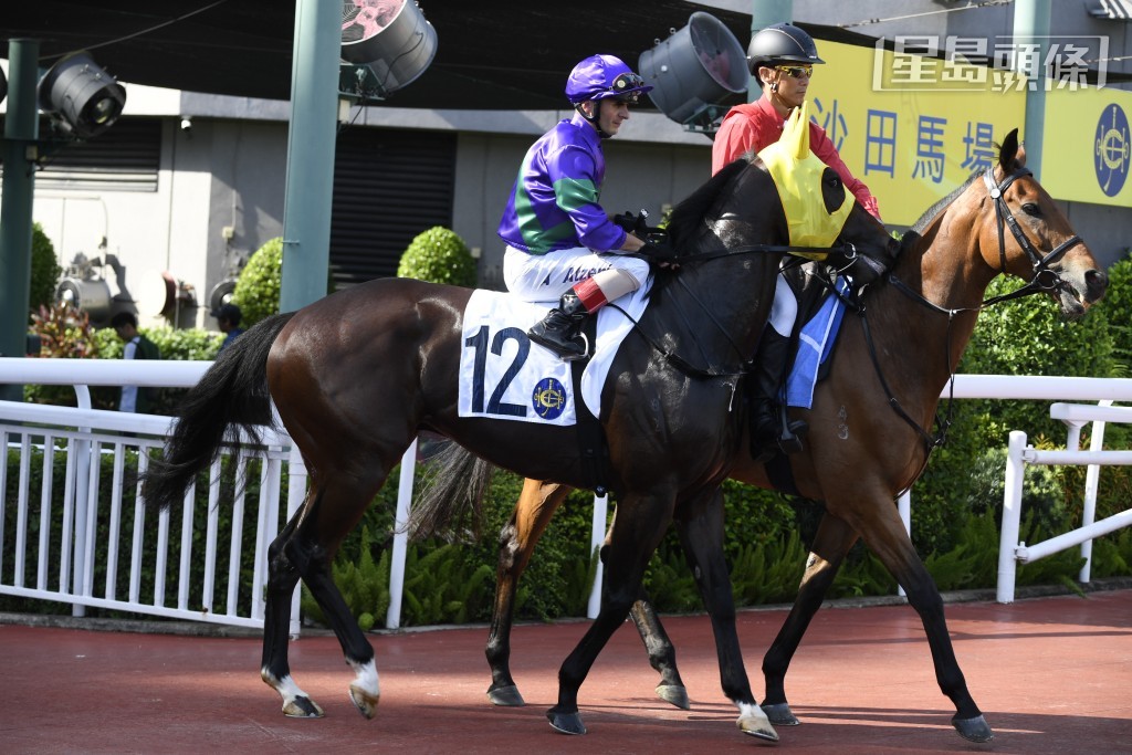 周日賽事賀賢兩匹皇牌馬為第一場「拚搏」(圖) 及第五場「福聚」，成績如何？
