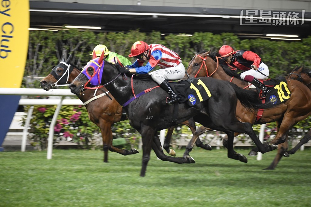 第二场「辣得金」上场初降五班即跑第四名，此马过往在四班赢过两场，居五班具有竞争力。