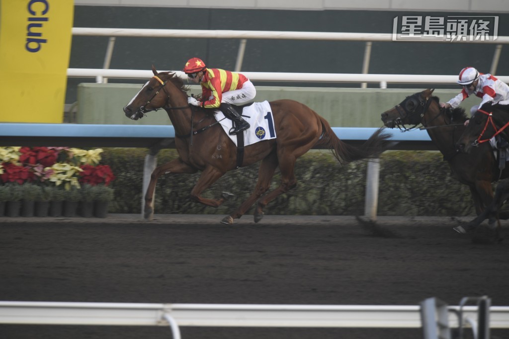 「新意馬」季內六戰獲三贏一位，另外兩仗亦獲獎金名次，表現非常突出，所以即使轉場出戰，仍有高度留意價值。