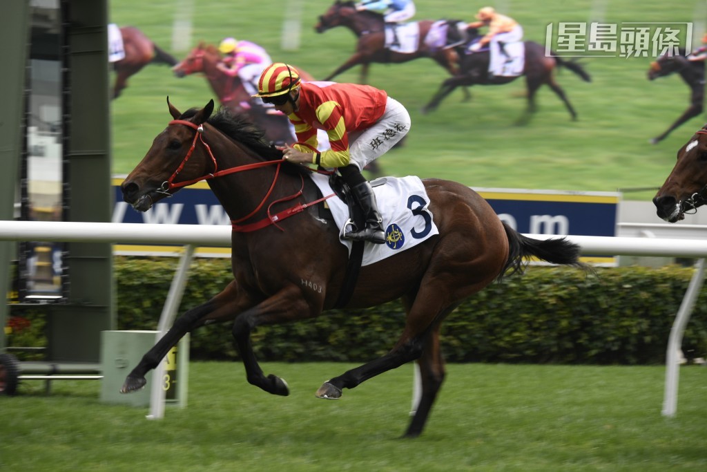 「時間寶」（圖）前季曾經在四班千二米力壓八捷馬「合夥奔馳」贏馬。