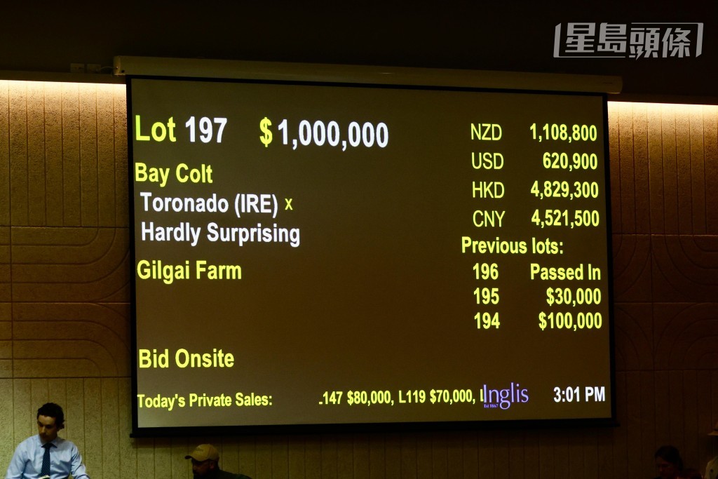 出自父系「豪華房車」的棗色幼馬價值一百萬澳元,成為首天拍賣會兩匹最高價成交馬之一。 出自父系「豪華房車」的棗色幼馬價值一百萬澳元,成為首天拍賣會兩匹最高價成交馬之一。