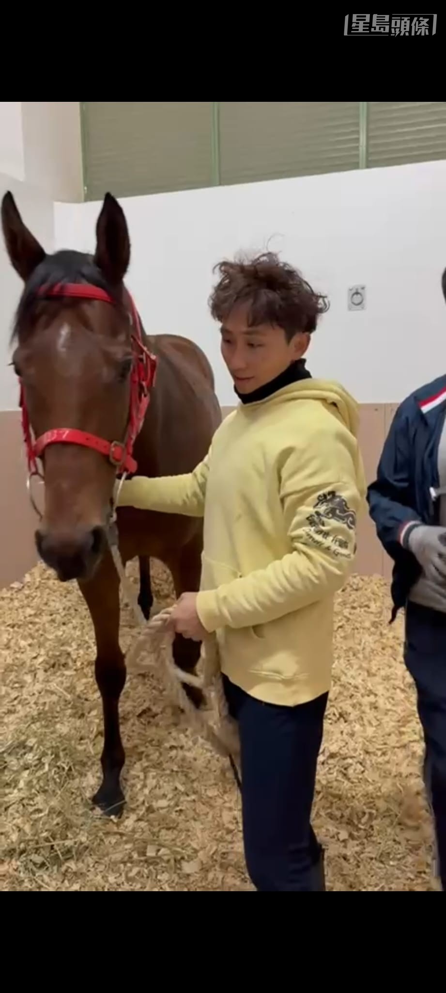 「自強不息」已回復標準的體重，甚適應沙特的環境及場地，目前狀態理想。