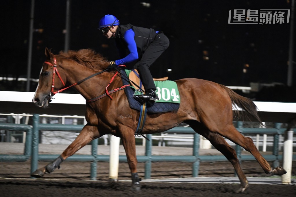 「着着領先」出跳更充滿睇頭，一來是霍宏聲的首匹出試馬；二來到耙地時段，他走去烽火台搵葉楚航密斟。